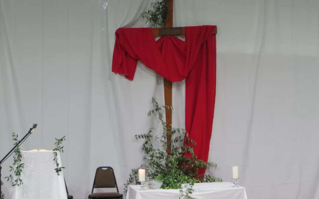 BENDICIÓN DE RAMOS