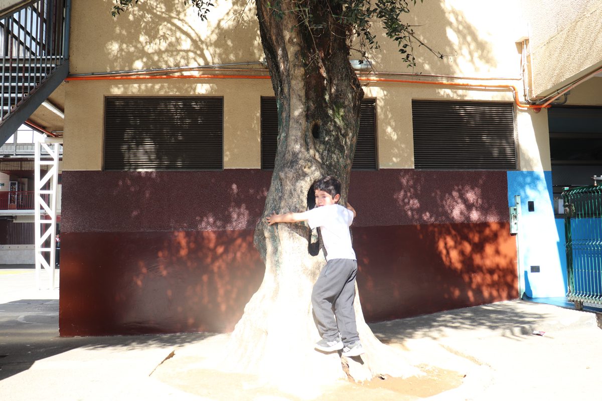valores_4