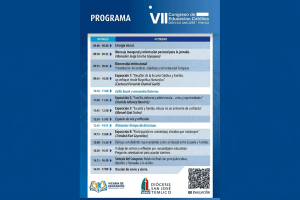 programa VII Congreso